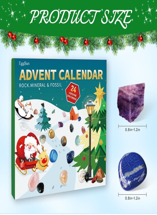 EggSun Rock Collection Advent Calendar 2025 Christmas,Advent Calendar for Kids,Minerals & Fossils with 24 Days Gemstones,Complete Gem&Fossil Collection Crystal Countdown Calendar Birthday Gift for Kids - Image 2